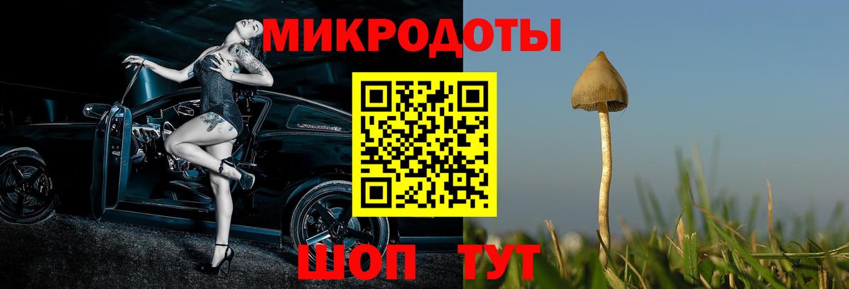 где можно купить наркотик  Галлюциногенные грибы Psilocybine cubensis  Псилоцибиновые грибы Magic Shrooms  Вход с VPN  Кострома 