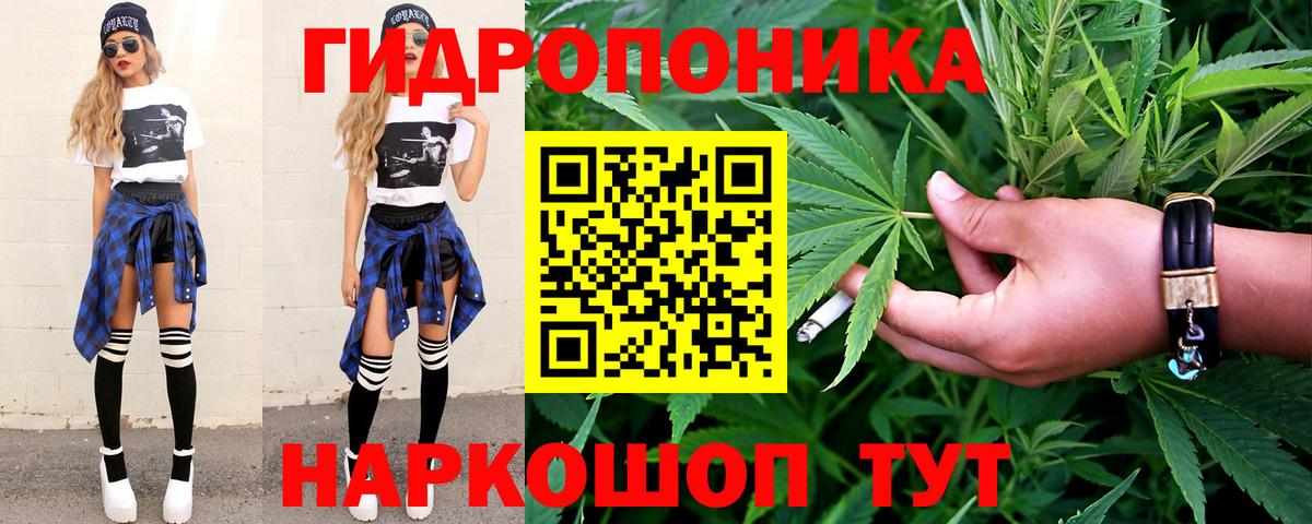 Шишки марихуана White Widow  Бошки марихуана план  Вход с VPN  Кострома 